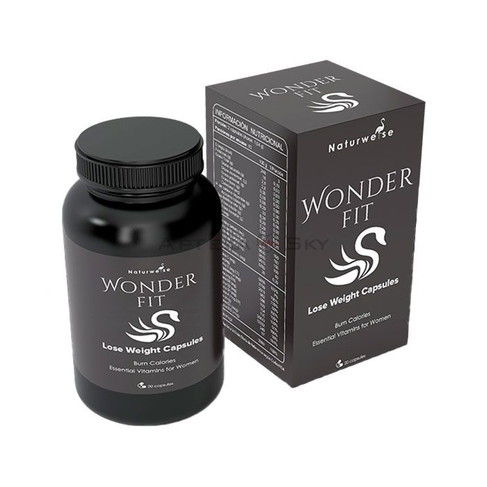 ❘ Wonder Fit ⏤ agente de control de peso